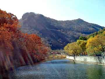 天天彩好彩天天免费，深圳屏风